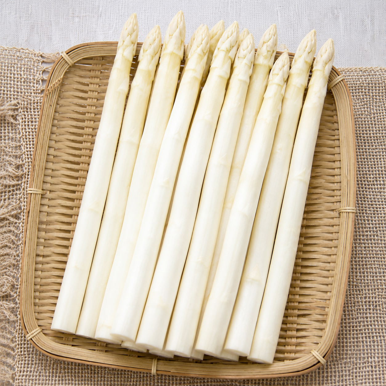 Four Seasons Asparagus Mary Washington Seeds