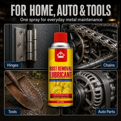 Anti-Rust Lubricant Spray & Rust Remover