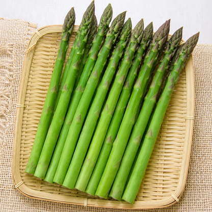 Four Seasons Asparagus Mary Washington Seeds