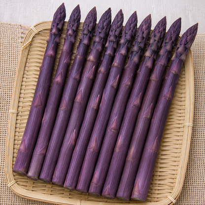 Four Seasons Asparagus Mary Washington Seeds