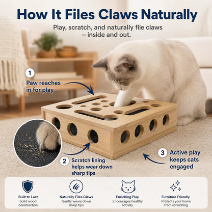Scratch & Treat Cat Toy